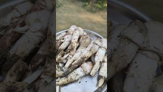 Mushroom 🍄 ঘরের ভিটেতে মাশরুম ফুটেছেshortvideo [upl. by Evslin]