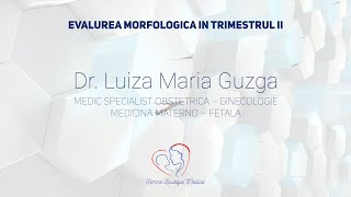 Evaluarea morfologică în trimestrul II I Dr Luiza Guzgă I Femmeboutiquemedicalcom [upl. by Eenattirb]