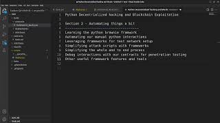 Web3 Hacking in Python  0x14 Section 2 Temp Outline [upl. by Carmelita712]