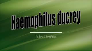 Haemophilus ducreyi [upl. by Legyn]