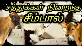 seempal recipe  சீம்பால்  Cow Colostrum Milk  Seempal recipe in tamil  boys kitchen [upl. by Nisior]