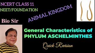 Aschelminthes Class 11 NCERT Animal Kingdom [upl. by Malley625]