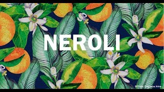 Top 10 Neroli Fragrance From Collection 2020 [upl. by Giulia639]