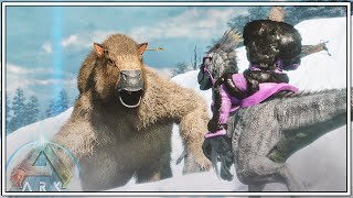 TAMING OUR FIRST MEGATHERIUM AND SHES A BEAST  ARK SURVIVAL ASCENDED EPISODE 22 [upl. by Thedric]