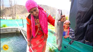 Himachal Famous Single Kanta Trout Fish Tawa Fry Making Rs 400 Only l Kullu Street Food [upl. by Mackintosh]