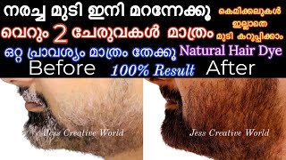 2 ചേരുവകൾ മതി നരച്ച മുടി നാച്ച്യുറൽ ആയി കറുപ്പിക്കാം Natural Hair Dye  Hair Dye At Home  Hair Dye [upl. by Llehcor]