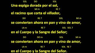 CANTOS PARA MISA  UNA ESPIGA DORADA POR EL SOL  COMUNION  ACORDES Y LETRA [upl. by Didier]