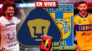 🔴 TIGRES DOMÓ A PUMAS EN CU  SEMIFINAL LIGA MX APERTURA LIVE  Los Expulsados [upl. by Ennovahs184]