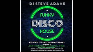 Funky Disco House Aug 2023 [upl. by Acisseg]