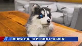 Elephant Robotics introduces Metadog [upl. by Einiar]