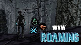 Gw2 WvW  Multiclass roamingoutnumbered [upl. by Godfry]