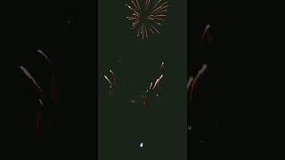 Bonfire night fireworks part 10 [upl. by Ohploda]