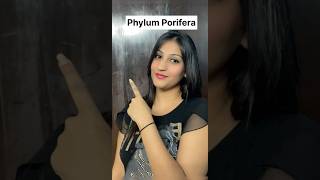 Phylum Porifera in 1 minute😨😳🔥 superfast series neet neet2025 shorts shortvideo short [upl. by Ahsets]