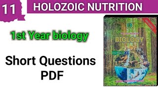 Short Questions  Holozoic Nutrition  class 11 bio [upl. by Ilojna]