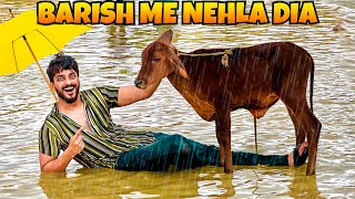 BASANTI KO BARISH ME NEHLA DIA 🌧️❤️  BABY COW  MISHKAT KHAN  THE FUN FIN [upl. by Hannahs]