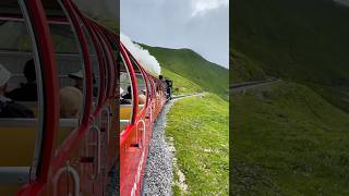 Riding the Brienz Rothorn Railway Stunning Swiss Alps Views amp Alpine Wildlife [upl. by Annaeerb]