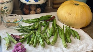 FERMENTED HOT SAUCE  FARM CHORES AND PICKING OKRA [upl. by Ariahay794]