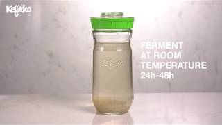 HOW TO MAKE WATER KEFIR WITH KEFIRKO KEFIR MAKER [upl. by Damle716]