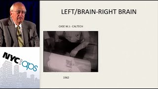 APS Award Address Lessons Learned From SplitBrain Research [upl. by Stephannie469]