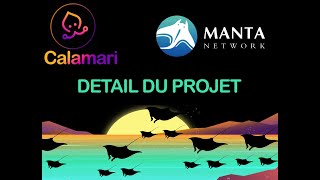 CALAMARI ET MANTA NETWORK  🐙🦠 la DeFi privée et Système de paiement confidentiel [upl. by Drhacir66]