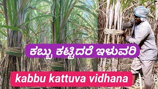 ಕಬ್ಬು ಕಟ್ಟುವ ಸರಳ ವಿಧಾನ  Sugarcane Binding Process in kannada ✅️ [upl. by Fechter]