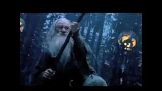 Gandalf vs Saruman Bad Lip Reading [upl. by Hyman]