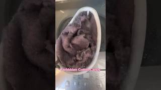 This lint trap was never cleaned 🤯 oddlysatisfying dryerventcleaning vacuumtherapy cleantok [upl. by Ailat]