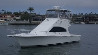 Luhrs 34 Convertible in the Marina Video by South Mountain Yachts 949 8422344 [upl. by Oria]