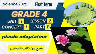 Plant AdaptationsScience 2025Grade 4Types of AdaptationFirst Term ساينس رابعة ابتدائي تيرم اول [upl. by Aileme]