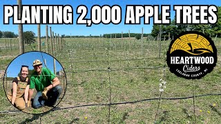 Planting Our Apple Orchard for Heartwood Ciders  raw footage [upl. by Juliann]