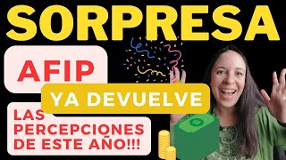 AFIP ME DEBE DEVUELVE LAS PERCEPCIONES 🤑​ Paso a paso TODOS los TRÁMITES 2024 [upl. by Gertrud174]