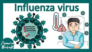 Influenza virus  Influenza pathology infection diagnosis and treatment  USMLE step 1 [upl. by Adlesirc]