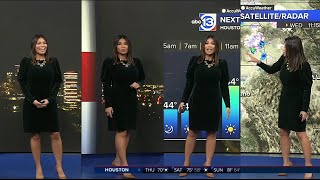 Elita Loresca with the morning Accuweather forecast for ABC13 Houston November 21 2024 [upl. by Eittol385]