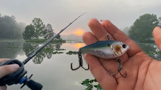 Fall Bass Fishing With Crankbait [upl. by Anirav]