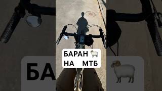 БАРАН НА МТБ  SURLY CORNER BAR 🙈🐏 gravel гревел велосипед mtb plusbike мтб баран [upl. by Hsiekal500]