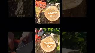 25cc Chainsaw Battle 2 VModest VS Chainsaw [upl. by Jemimah]