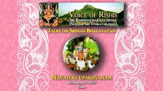 Bhagavatam Navayogi Upakhyanam Tamil [upl. by Tegan801]