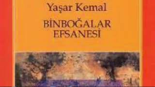 Yaşar kemal🌺Binboğalar efsanesi PART 1 SESLİ KİTAP книга roman yaşarkemal binboğalarefsanesi [upl. by Acinomaj]