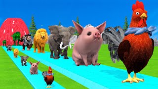 Paint amp Animals CowGorillaElephantGiraffeTigerLion Fountain Crossing Transformation Cartoon [upl. by Sardella]