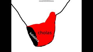 history of the mighty cholas [upl. by Silecara322]