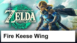 The Legend of Zelda Tears of the Kingdom  Fire Keese Wing [upl. by Tecu]