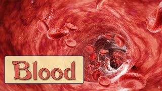 Easy Physiology  Blood  3WBCs amp Innate Immunity [upl. by Maida]