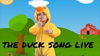 the duck song live verson [upl. by Adnael]