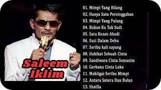 Lagu Terbaik Saleem Iklim  Best Slow Rock Malaysia Lawas  Lagu Jiwang Malaysia 80an Dan 90an [upl. by Ut]