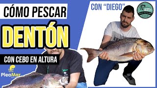 CÓMO PESCAR DENTONES con CEBO 📕En altura📗Con Diego de PLEAMAR Asturias [upl. by Fradin585]