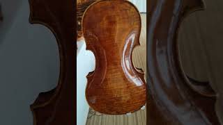 Lot 89 violin labelled Thomas Balestrieri  Amati Auction UK  24th July 2024 shorts [upl. by Aleydis]