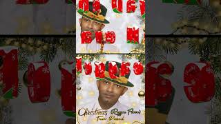 Christmas Reggae Flava Excerpts [upl. by Aihseyt78]