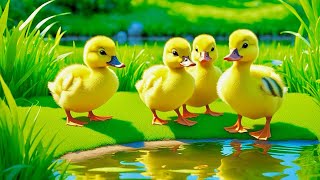 Five Little Ducks Song  Fun and Engaging Nursery Rhyme for Kids  Educational SingAlong [upl. by Nevins]