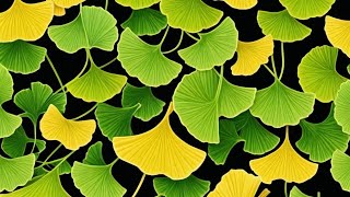 Ginkgo Biloba and its amazing benefits for health 🌿 [upl. by Annael]