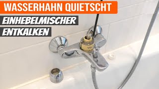 Wasserhahn reparieren  Einhebelmischer entkalken  Wasserhahn quietscht [upl. by Desdamona]